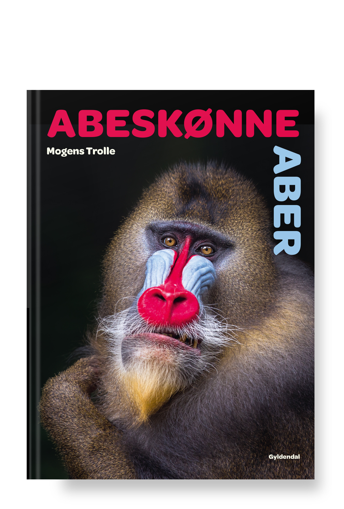 abseskoenne_aber_bogdesign_omslag_alene_hald