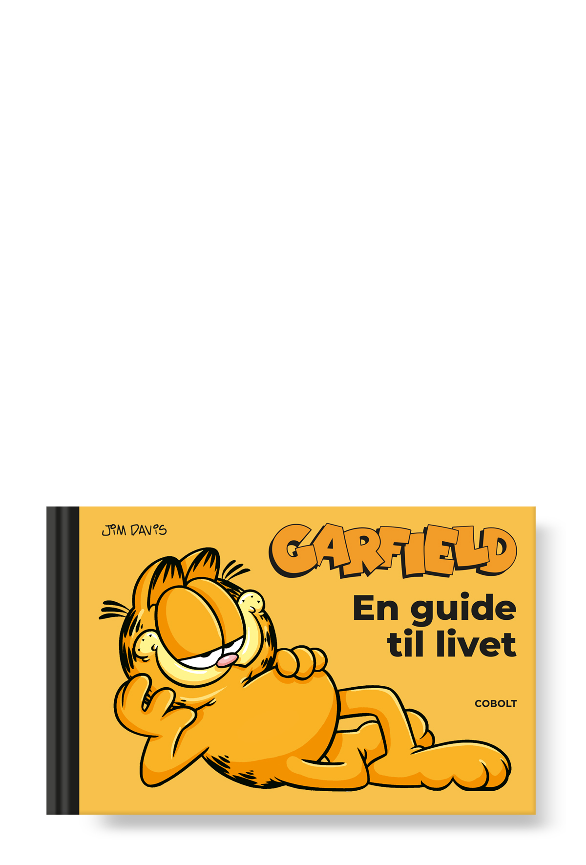 garfield_bogdesign_omslag_alene_hald